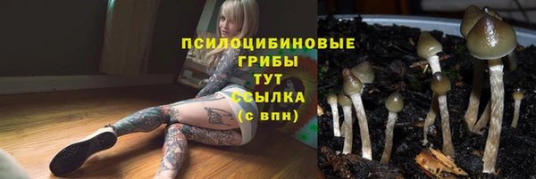 ешки Богданович
