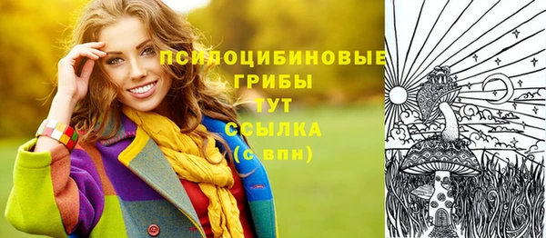 герыч Богородск