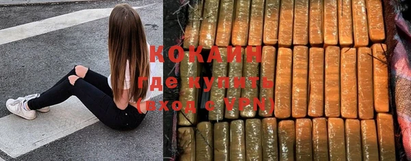 ешки Богданович
