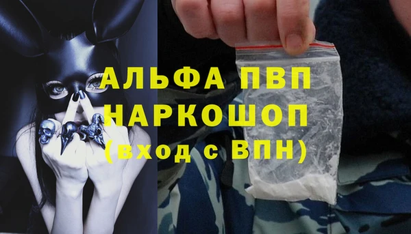 ешки Богданович