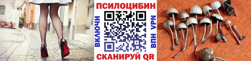 Псилоцибиновые грибы Cubensis  Кировград 